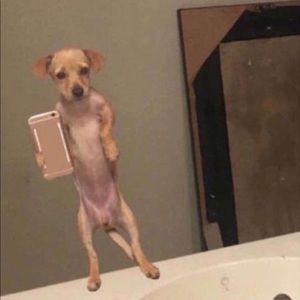 Meet your Posher, Cindy